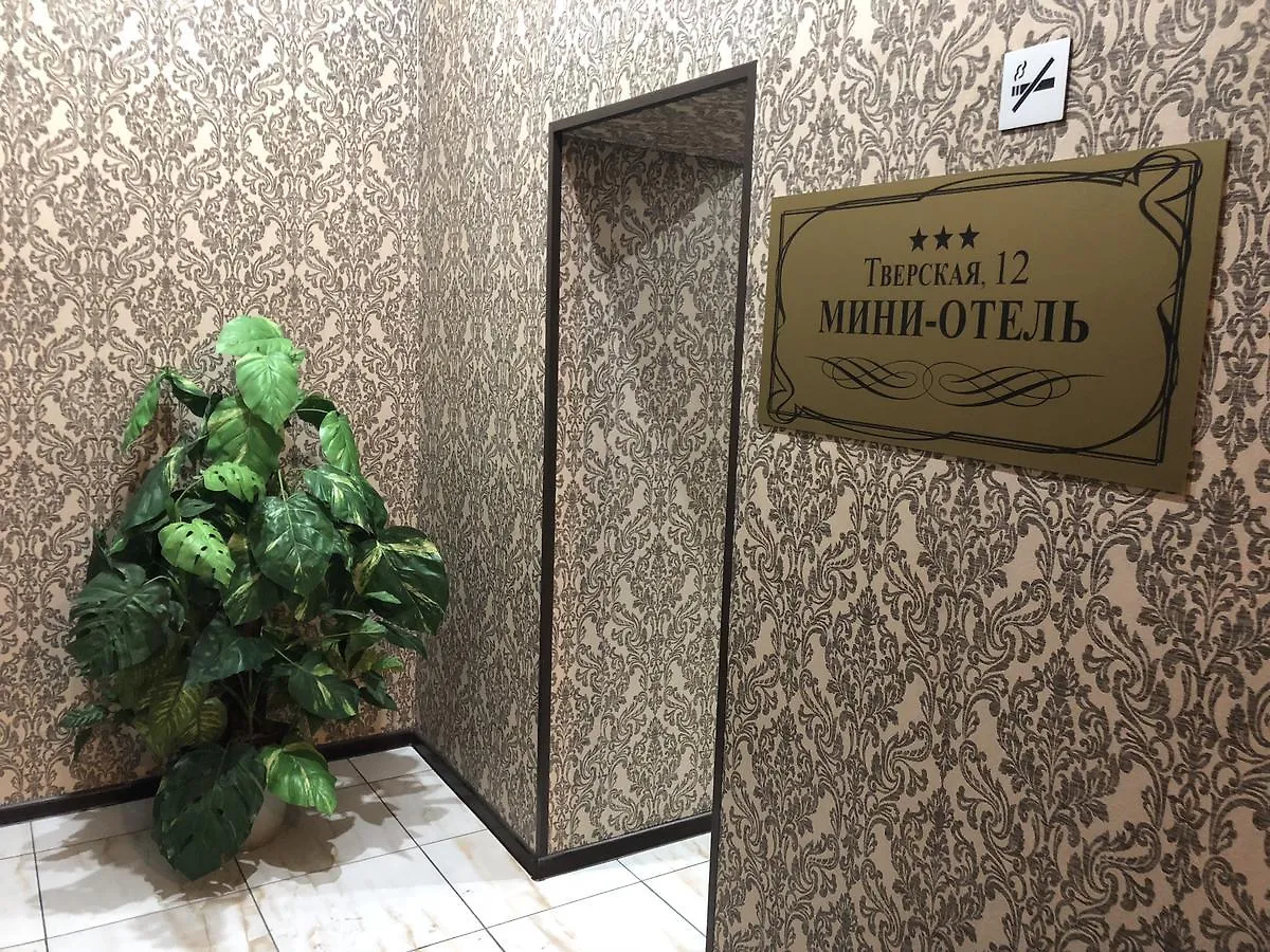 Hotel Tverskaya 12 Moskova